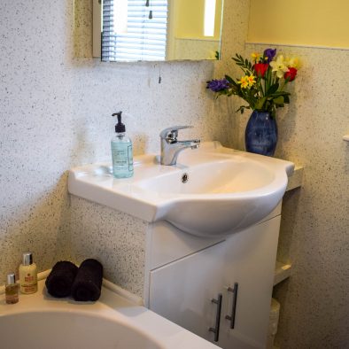 Family bathroom with bath and shower over