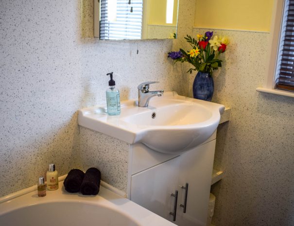 Family bathroom with bath and shower over