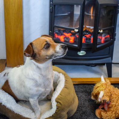 All of our accommodation is pet friendly at Port Beag Self-catering Holiday Chalets