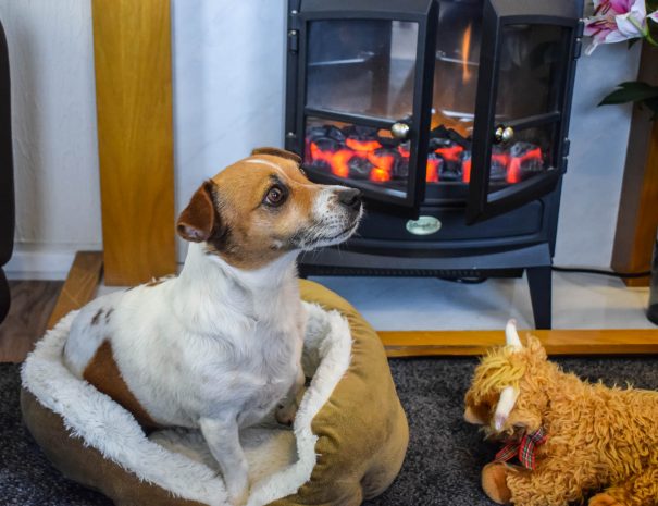 All of our accommodation is pet friendly at Port Beag Self-catering Holiday Chalets