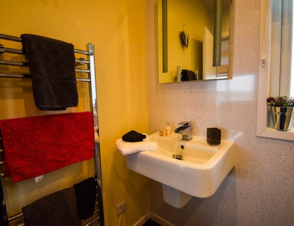 The shower room in our 2 bedroom Rowan Chalet at Port Beag Self-Catering Chalets, Wester Ross